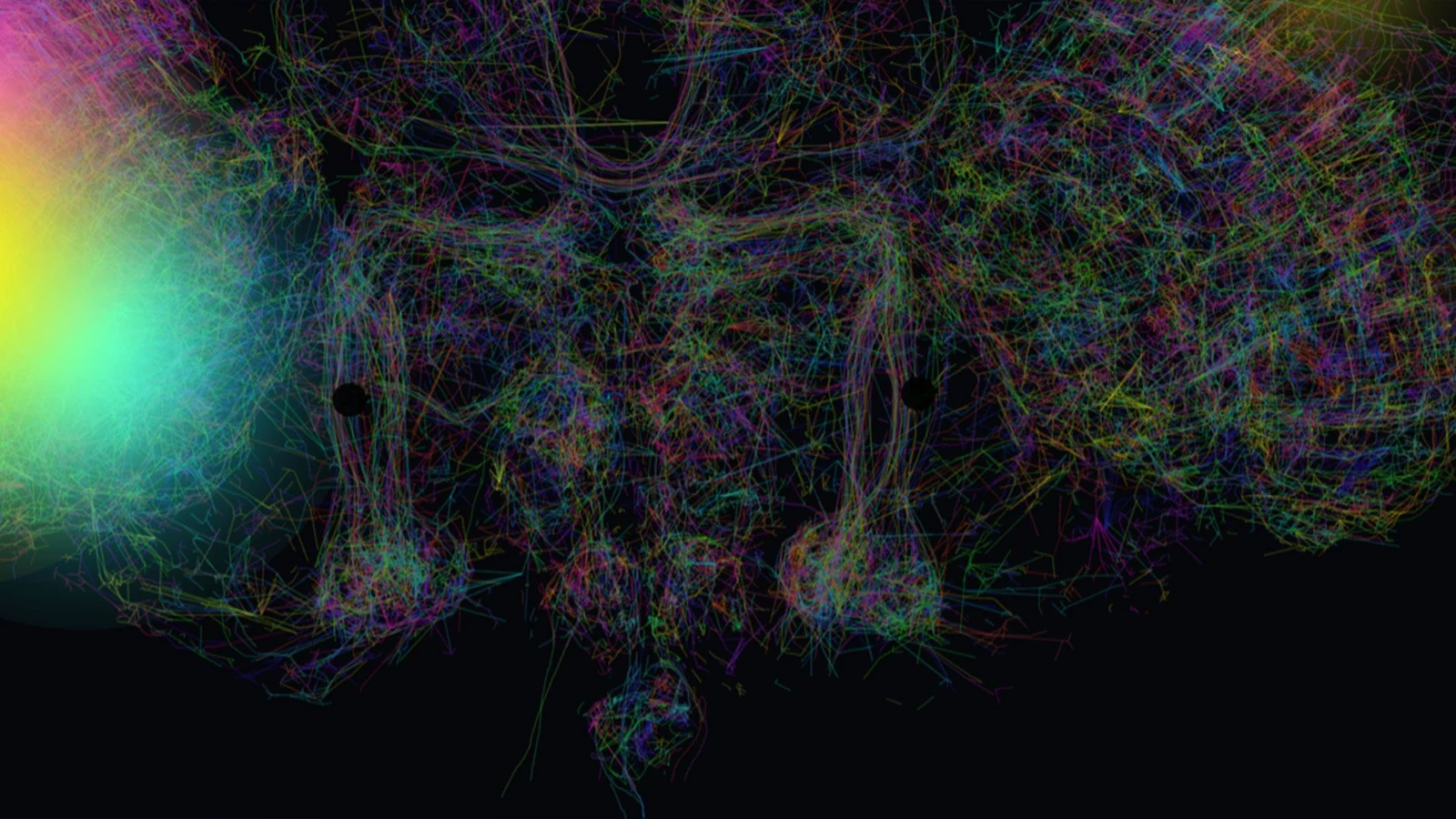 FutureBit Launches HashFly: A Fruit Fly Brain Crypto Miner