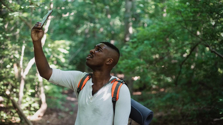 Lost hiker in forest using smartphone offline GPS to navigate the way forward.