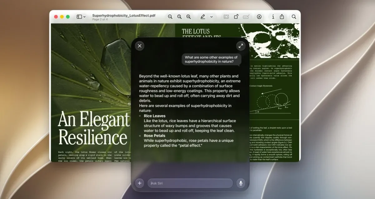 أداة RemoveMacAI تحذف ميزات Apple Intelligence من macOS 27