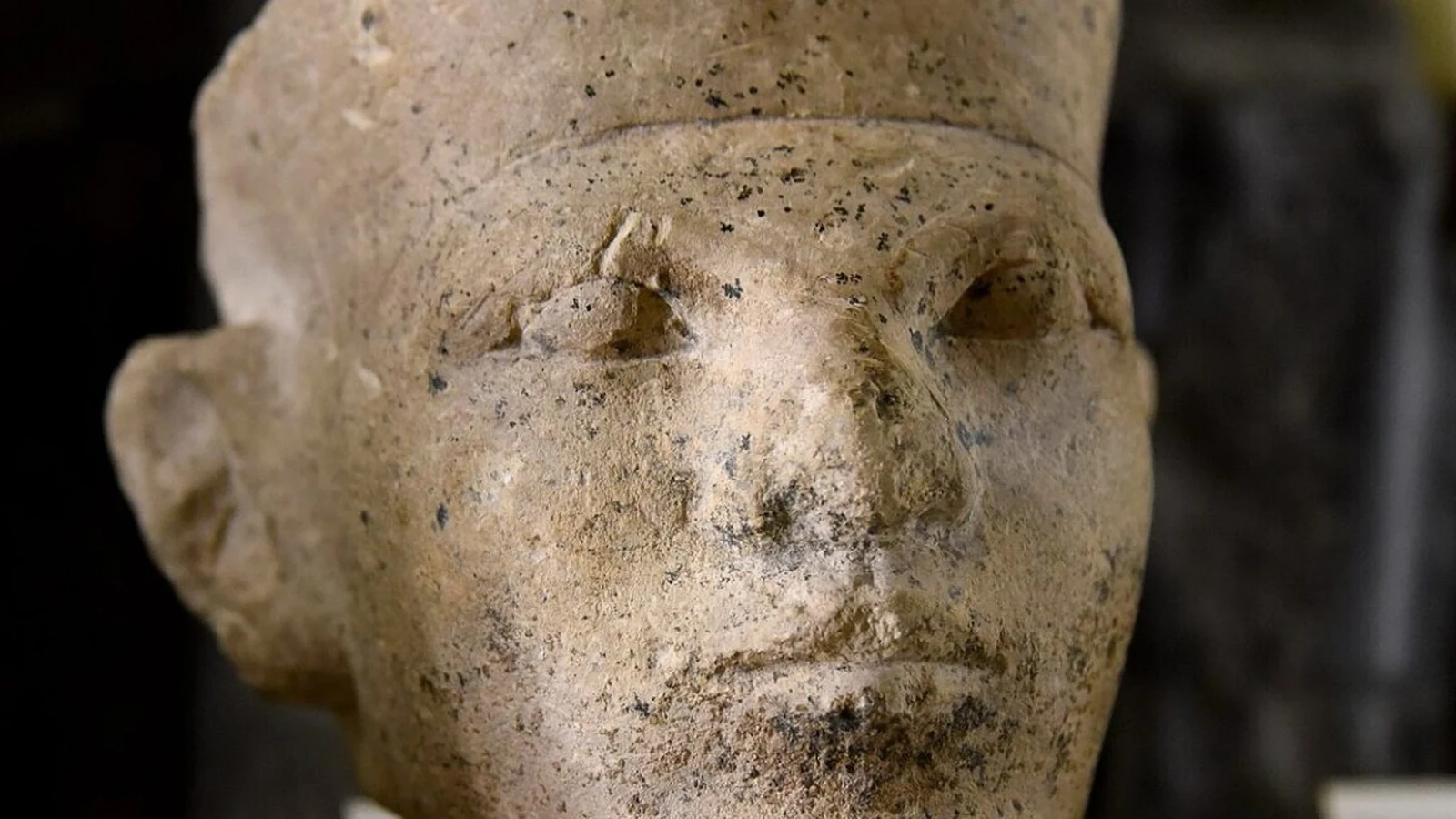New Forensic Evidence Supports Egyptian Retainer Sacrifice